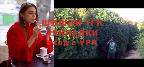 тгк Армянск