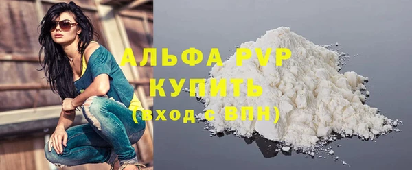 индика Арсеньев