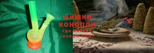 индика Арсеньев