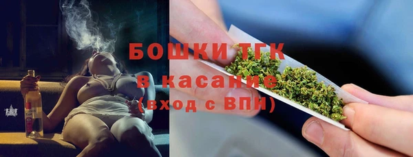 индика Арсеньев
