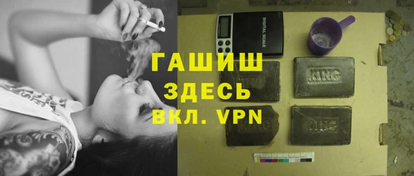 индика Арсеньев