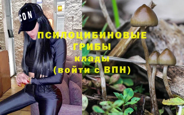 тгк Армянск