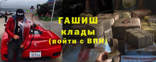 индика Арсеньев